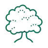 arbre arbre