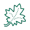 feuille feuille
